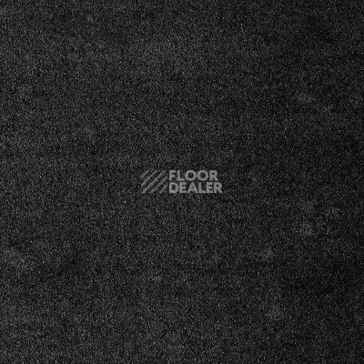 Ковролин AW Seduction 98 фото 1 | FLOORDEALER